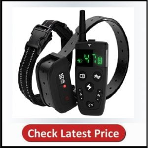 TBI Pro Shock Collar for Dogs with Remote