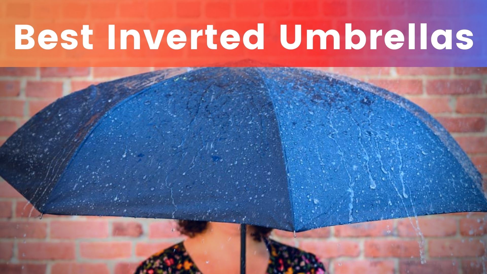 Best Inverted Umbrellas