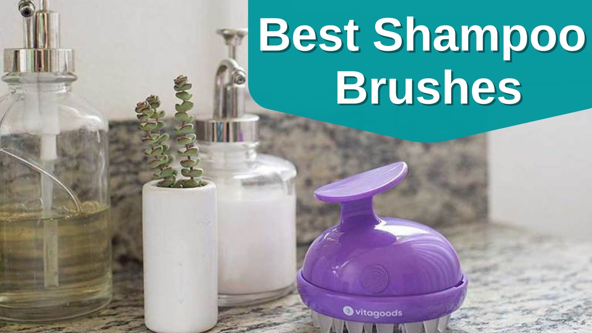 Best Shampoo Brushes